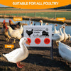 Automatic Poultry Feeder Box 30 lbs Turkeys Chicken Feeder Box Weatherproof
