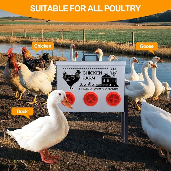 Automatic Poultry Feeder Box 30 lbs Turkeys Chicken Feeder Box Weatherproof