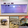 120x60x60cm Reptile Terrarium Constant Temperature Feeding Box Reptile Incubator