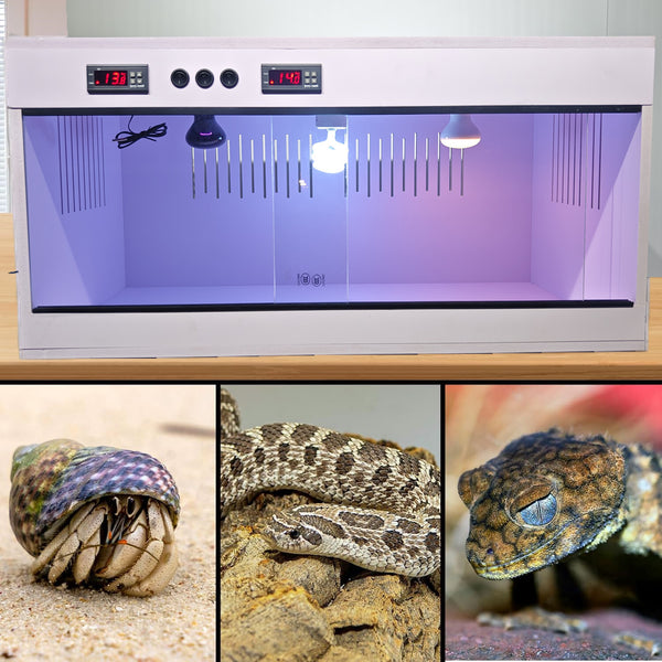 120x60x60cm Reptile Terrarium Constant Temperature Feeding Box Reptile Incubator