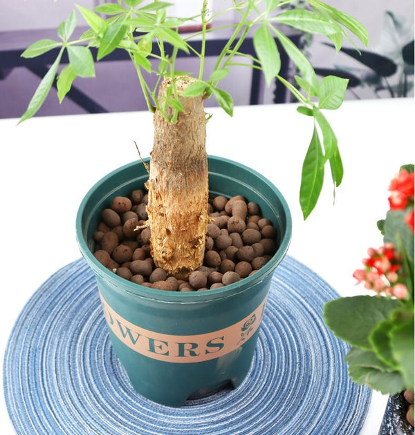 12L Clay Pebbles Clay Ball High Quality Hydroponic Leca Expanded Clay Balls AU