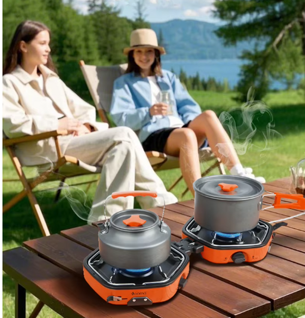 Outdoor Camping Portable Gas Stove Adjustable 2 Burners Foldable With Carry Bag