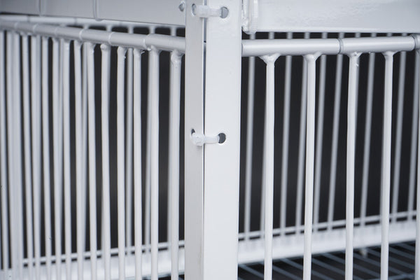 Birds Cage Small Animals Catch Trap Four Sides One Way Entrance Anti-Escape Slot