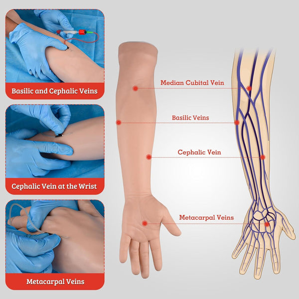 Intravenous Practice Arm Kit High Simulation Blood Drawing Practice Model Kit