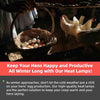 300W Heat Lamp for Chicken Coop Waterproof Brooder Heater for Chick,Duck,Poultry