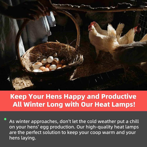 300W Heat Lamp for Chicken Coop Waterproof Brooder Heater for Chick,Duck,Poultry