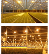 Hydroponics 600W Digital Ballast Wing Reflector HPS Lamp Grow Lighting Kit