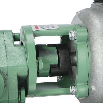 Heavy Duty 220V Diesel Biodiesel Oil Fuel Gear Transfer Pump 75L/min 750W