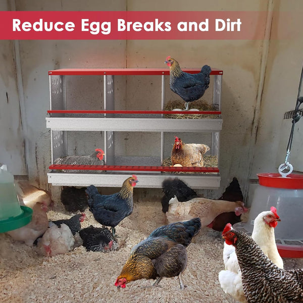 6 Hole Chicken Hen Coop Hutch Inside Outside Roll Away Lay Egg Nesting Box Metal