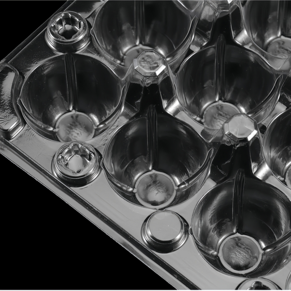 100 Pcs Quail Egg Cartons Square Dozen Egg Boxes 3x4 Holds 12 Count Thickened AU