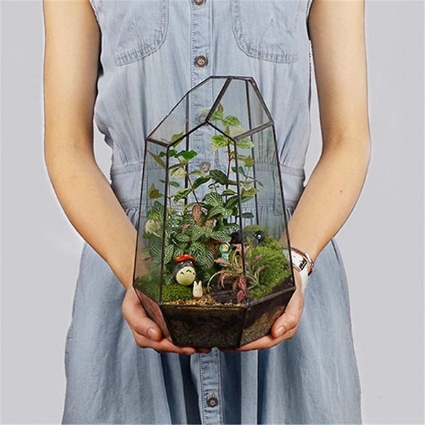 Glass Geometric Plant Terrarium Succulent & Air Planter Indoor Tabletop Decor