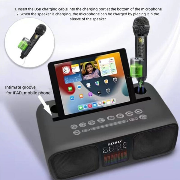 Bluetooth Karaoke Speaker & 2 Wireless Microphones Rechargeable Karaoke Machine