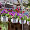 24PCS Plastic Hanging Plant Pots 17cm Hanging Plant Containers Hanging Planters
