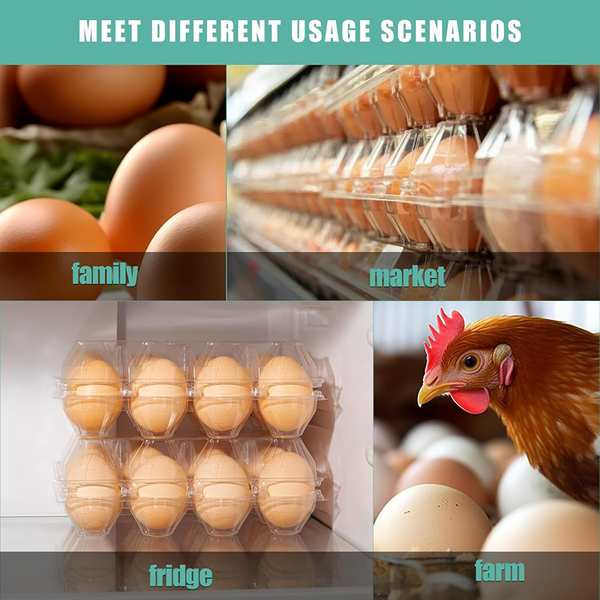 100X Large Egg Cartons 6/12 Eggs Holder PET Empty Chicken Egg Tray Freezer Safe
