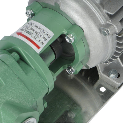 Heavy Duty 220V Diesel Biodiesel Oil Fuel Gear Transfer Pump 75L/min 750W