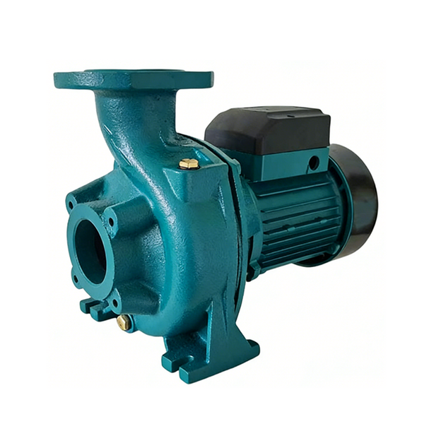 220V Centrifugal Water Transfer Pump Large Flow Max 900 L/min 1.1HP Max Head 12m