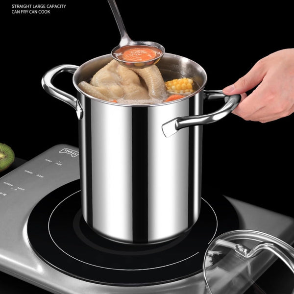 4L Kitchen Stainless Steel Deep Fryer Pot with Mesh Basket & Lid All Stovetops