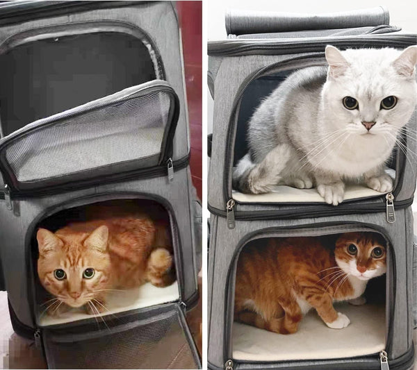 Double Compartment Pet Carrier Backpack for Small Cats and Dogs Cat Travel Bag