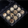 100 Pcs Quail Egg Cartons Square Dozen Egg Boxes 3x4 Holds 12 Count Thickened AU