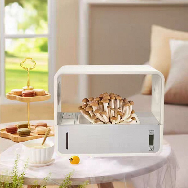 Smart Still Air Mushroom Box Desktop Mushroom Cultivator Planting Tent Xmas Gift