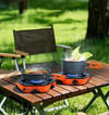 Outdoor Camping Portable Gas Stove Adjustable 2 Burners Foldable With Carry Bag