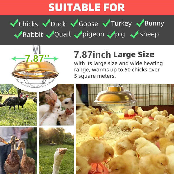 300W Heat Lamp for Chicken Coop Waterproof Brooder Heater for Chick,Duck,Poultry
