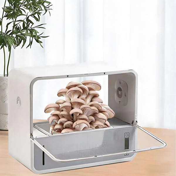 Smart Still Air Mushroom Box Desktop Mushroom Cultivator Planting Tent Xmas Gift