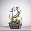 Glass Geometric Plant Terrarium Succulent & Air Planter Indoor Tabletop Decor