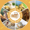 80CM Chick Brooder Box Wood with Digital Thermostat for Chicks Quail Hamsters AU
