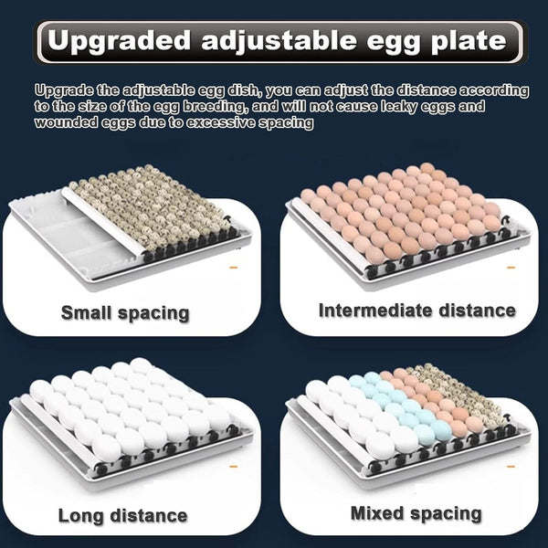 128 Eggs Digital Egg Incubator Dual Electrical Design Automatic Turning Eggs AU