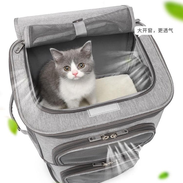 Double Compartment Pet Carrier Backpack for Small Cats and Dogs Cat Travel Bag