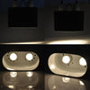 Reptile Lamp Double Dome UVB Light Head For Turtle Lizard with Separate Switches
