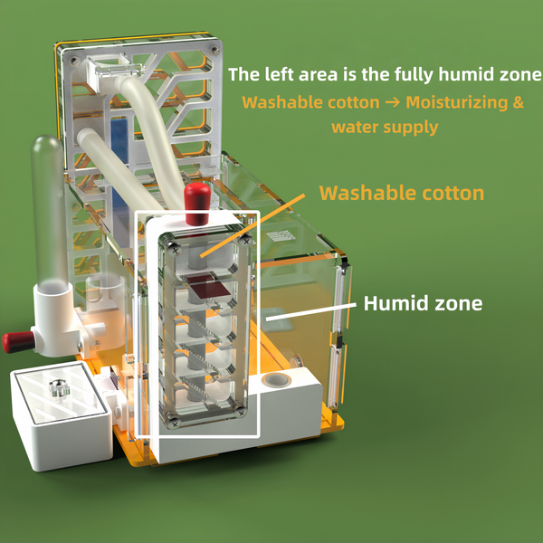 Ant Farm DIY Ant Nest 3D Acrylic ANT Workshop Educational Ant House For Gift AU