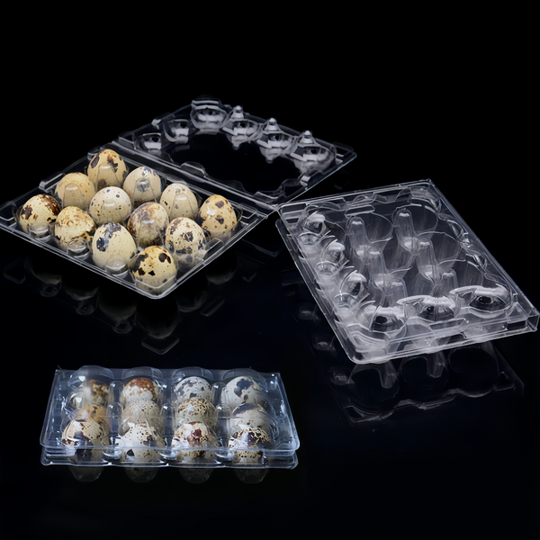 100 Pcs Quail Egg Cartons Square Dozen Egg Boxes 3x4 Holds 12 Count Thickened AU