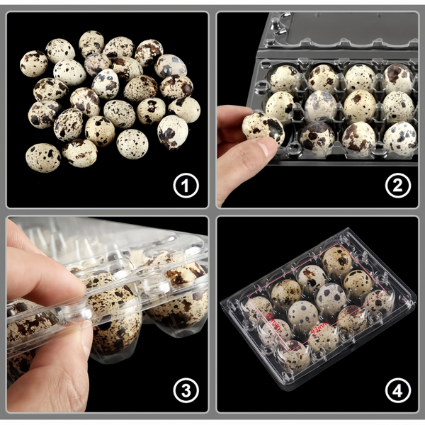 100 Pcs Quail Egg Cartons Square Dozen Egg Boxes 3x4 Holds 12 Count Thickened AU