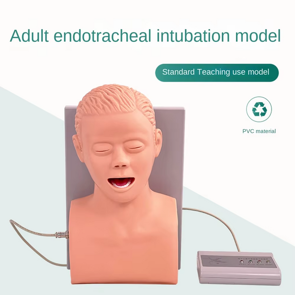 PVC Intubation Manikin adult Study Teaching Model Airway Management Trainer