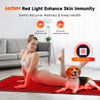 960pcs LED 660mm&850mm Near Infrared Red Light Therapy Mat For Body Pain Relief