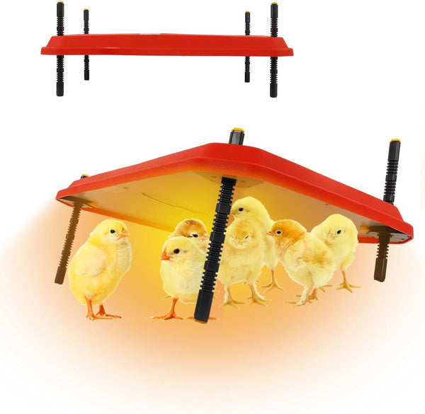 LARGE 66W Chick Brooder Heating Plate Adjust Poultry Warmer Chicken Coop Brooder
