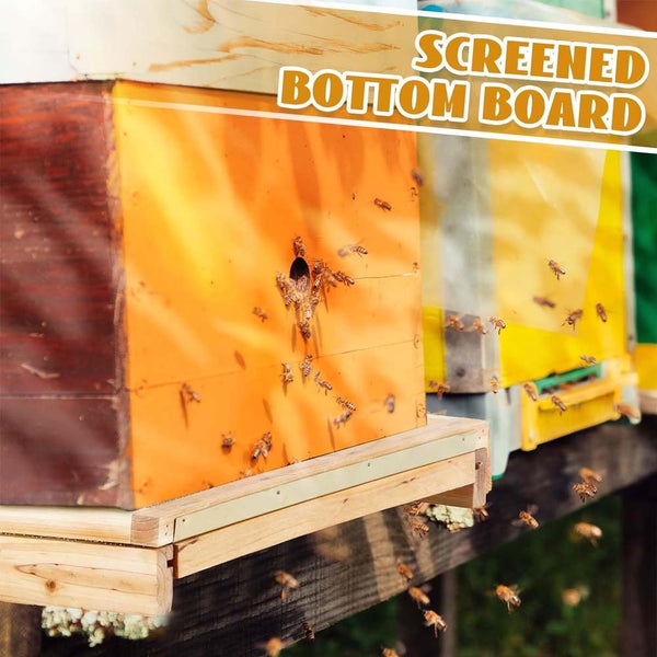 10Frame Screened Bottom Board NZ pine stainless steel mesh beehive mesh+Entrance