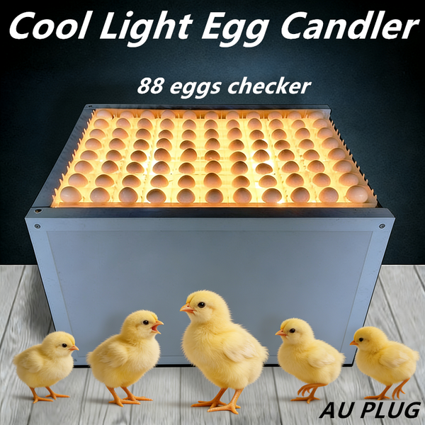 Cool Light Egg Candler Tester 88 Eggs Egg Candling Box For Egg Hatching AU PLUG