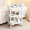 Beauty Trolley Cart with Wheel Esthetician Cart with Handrail, Bucket and Drawer