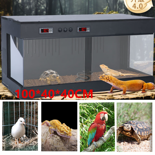 Large Reptile Glass Terrarium Thermostat Box Habitat for Tortoise Snake Iguana