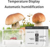 Smart Still Air Mushroom Box Desktop Mushroom Cultivator Planting Tent Xmas Gift