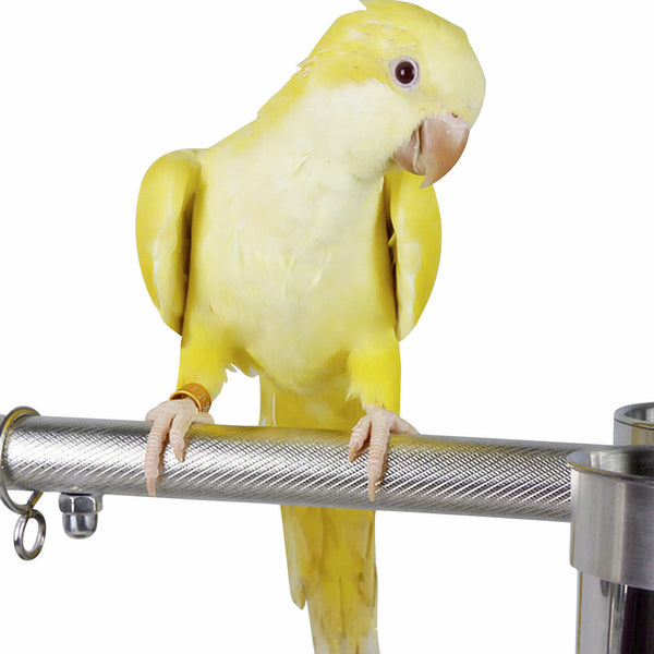 Adjustable Height Bird Perch Play Stand Parrot Playstand With Feeding Bowls