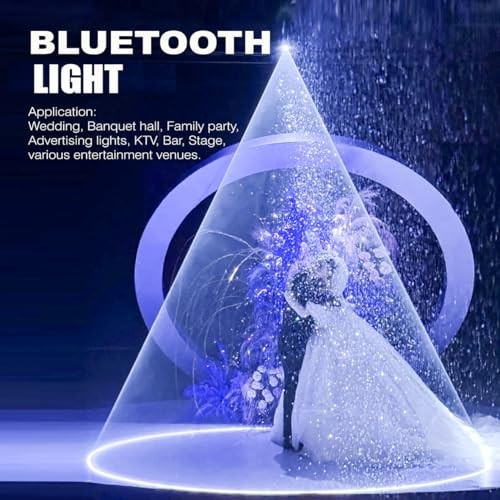 5W Animation DJ Party Laser Light Full Color with DMX512 APP for Party Wedding