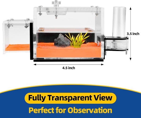 Ant Farm with External Water Tower and Garbage Area Soil Queen Breeding Area AU