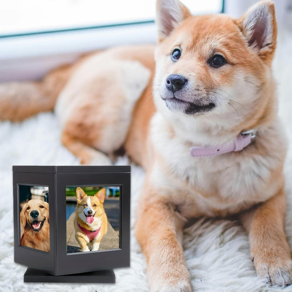 Pet Memorial Urns for Dogs or Cats Ashes Large Wooden Funeral with Photo Frame