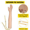 Intravenous Practice Arm Kit High Simulation Blood Drawing Practice Model Kit