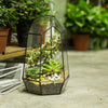 Glass Geometric Plant Terrarium Succulent & Air Planter Indoor Tabletop Decor