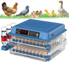 128 Eggs Digital Egg Incubator Dual Electrical Design Automatic Turning Eggs AU